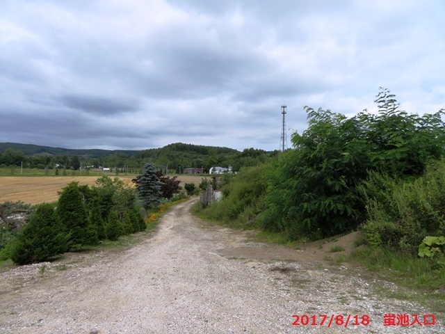 20170818hasu1.jpg