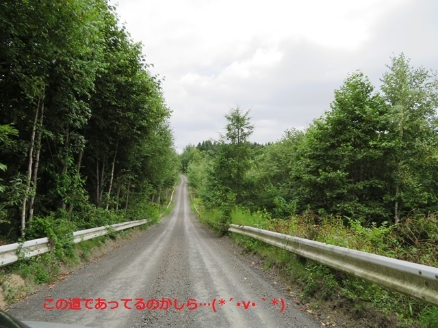 20170818hasu14.jpg