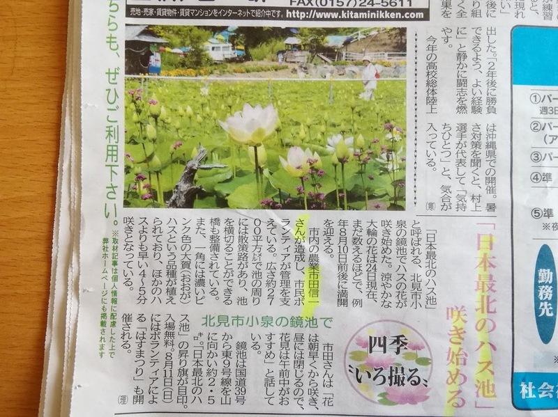 20190727経済の伝書鳩.jpg